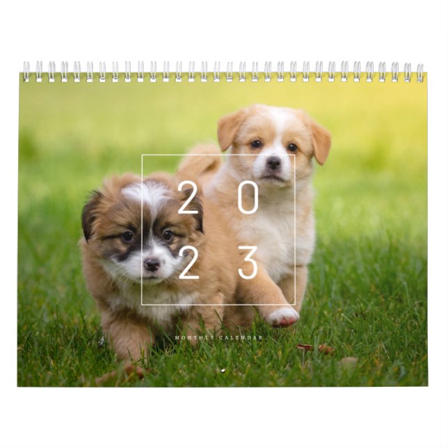 Cute Hund Calendar 2023 Kalender (Omslag)