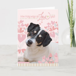 Cute Hund Card - hur många sätt gör jag i Kärlek? Helgkort