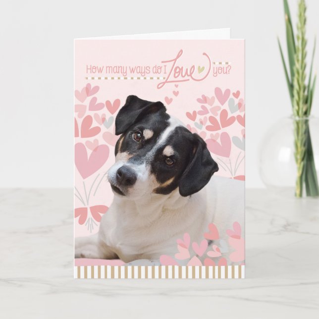 Cute Hund Card - hur många sätt gör jag i Kärlek? Helgkort (Framsida)