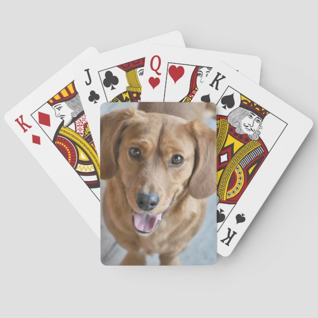 Cute Hund Casinokort (Baksidan)