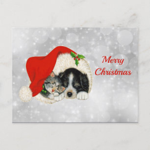 Cute Hund Cat Santa Cap jul Vykort