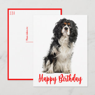Cute Hund Cavalier Kung Charles Spain Birthday Po Vykort