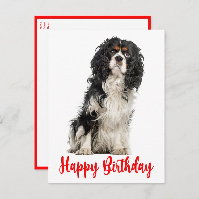 Cute Hund Cavalier Kung Charles Spain Birthday Po Vykort (Fram/baksida)