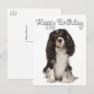 Cute Hund Cavalier Kung Charles Spain Birthday Vykort