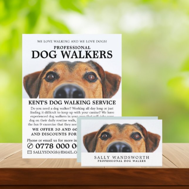 Cute Hund, Dog Walker Service Advertising Flygblad (Skapare uppladdad)