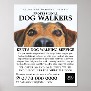 Cute Hund, Dog Walker Service Advertising Poster