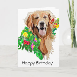 Cute Hund Dreamy Golden Retriever Kort