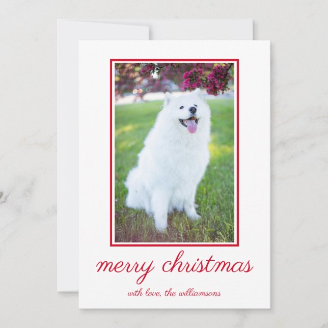 Cute Hund - enkel fotojul Julkort (Framsida)