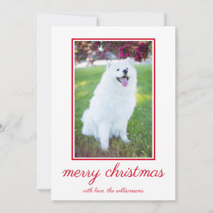 Cute Hund - enkel fotojul Julkort