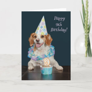 Cute hund firar 9:e födelsedagen! kort