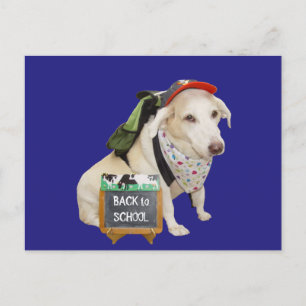Cute Hund Funny Back to school Vykort