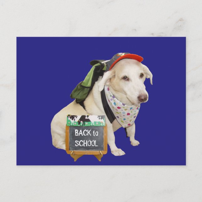 Cute Hund Funny Back to school Vykort (Framsida)