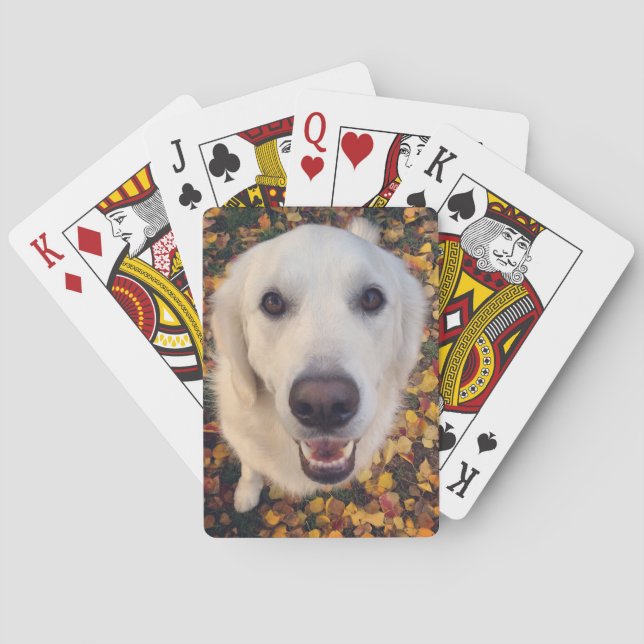 Cute hund-gåva till sällskapsföräldrar casinokort (Baksidan)