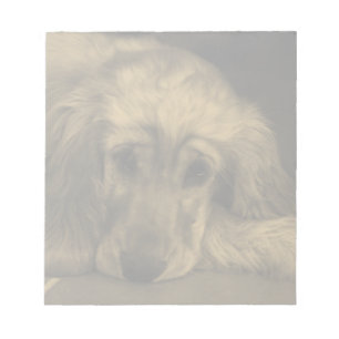 Cute Hund - Golden Retriever Anteckningsblock