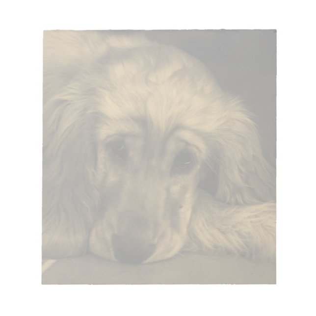Cute Hund - Golden Retriever Anteckningsblock (Framsida)