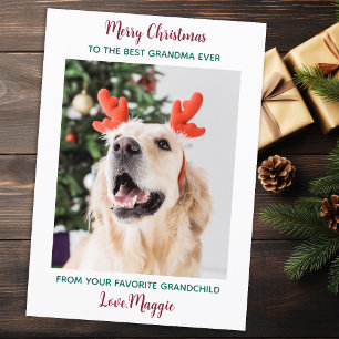 Cute Hund Grandma Personlig jul Pet Photo Julkort