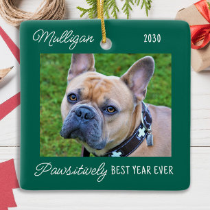 Cute Hund Grönt Karantantisk julfoto Julgransprydnad Keramik