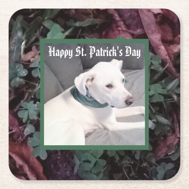 Cute Hund Grönt Scarf St. Patrick's Day Underlägg Papper Kvadrat (Framsidan)