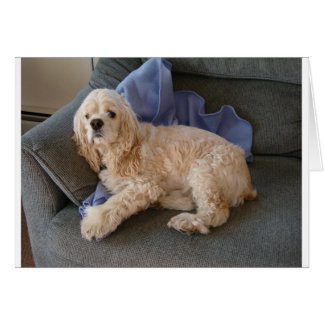 Cute Hund Hälsningskort