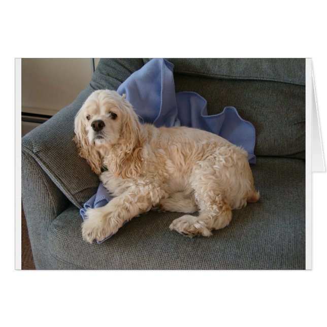 Cute Hund Hälsningskort (Framsidan Horizontal)