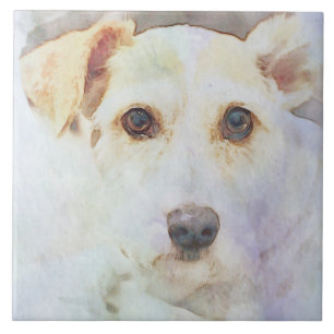 Cute Hund Head Ansikte Ögon Sketch Kakelplatta