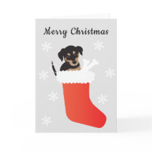 Cute Hund i ett lagrade Snöflingor