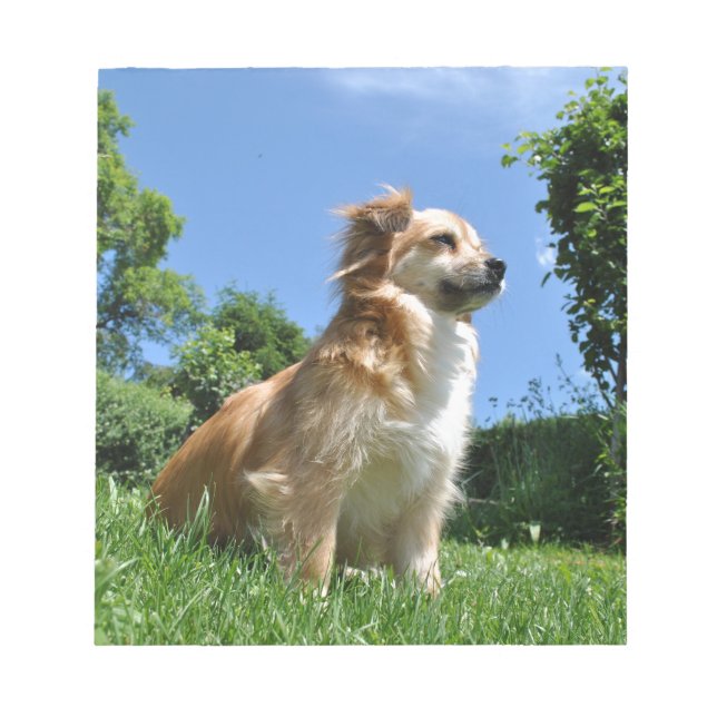 Cute hund i gräs anteckningsblock (Framsida)