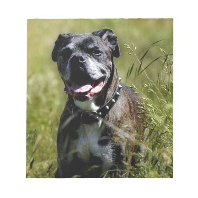 Cute hund i gräs anteckningsblock (Framsida)
