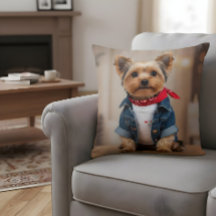 Cute Hund i Jean Jacka