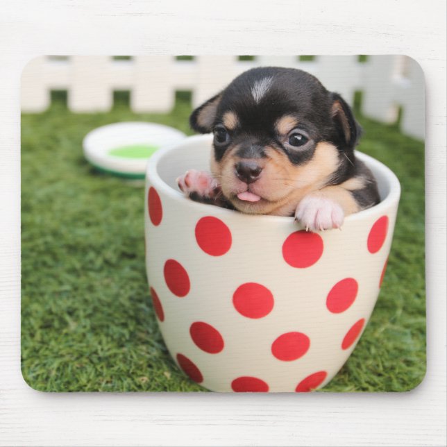 Cute Hund i mugg Musmatta (Framsidan)