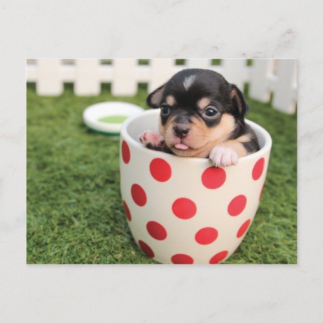 Cute Hund i mugg Vykort (Framsida)