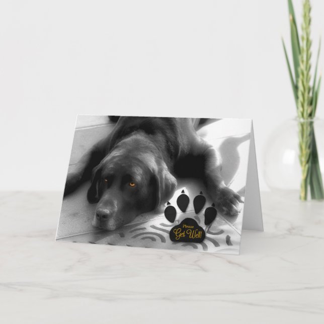 Cute Hund kommer bra för Djurälskarn med Labrador Kort (Framsida)