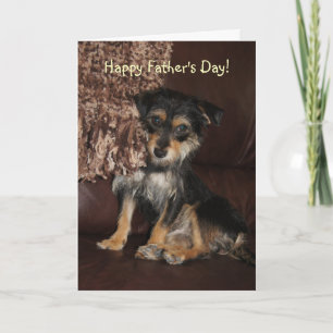 Cute, Hund Kort