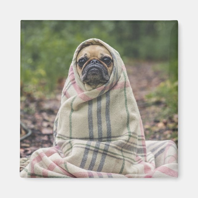Cute Hund magnet 2 (Framsidan)