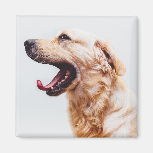 Cute Hund magnet 6 (Framsidan)