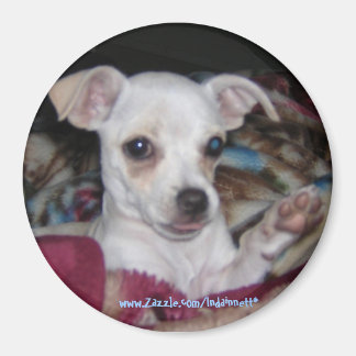 Cute Hund-Magnet. Magnet
