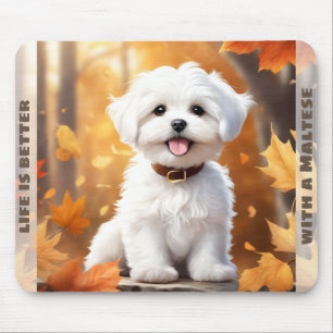 Cute Hund Malta Puppy Pumpkin Fall Hösten Namn Musmatta