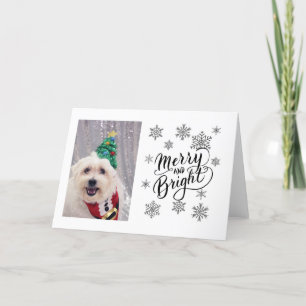 Cute Hund Maltese Bichon-julkort Helgkort