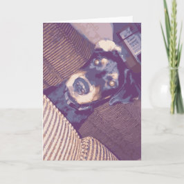 Cute Hund med en örhäng vänd bakåt-rotweiler Kort