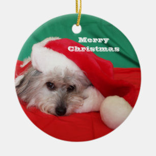Cute Hund med Hat-julprydnad Julgransprydnad Keramik