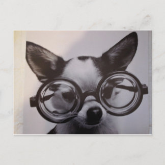 Cute hund med överdimensionerade glas vykort