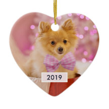 Cute Hund med Rosa Bow Julfoto