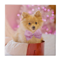 Cute Hund med Rosa Bow Julfoto