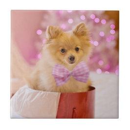 Cute Hund med Rosa Bow Julfoto Kakelplatta