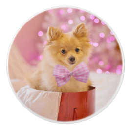 Cute Hund med Rosa Bow Julfoto Knopp