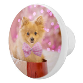 Cute Hund med Rosa Bow Julfoto Knopp
