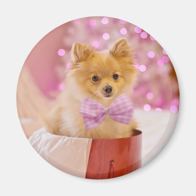 Cute Hund med Rosa Bow Julfoto Magnet (Framsidan)