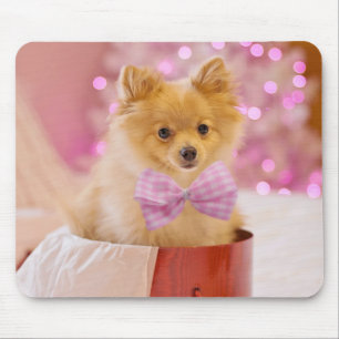 Cute Hund med Rosa Bow Julfoto Musmatta
