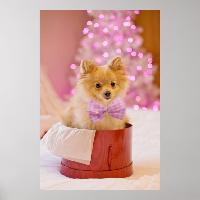 Cute Hund med Rosa Bow Julfoto Poster (Framsidan)