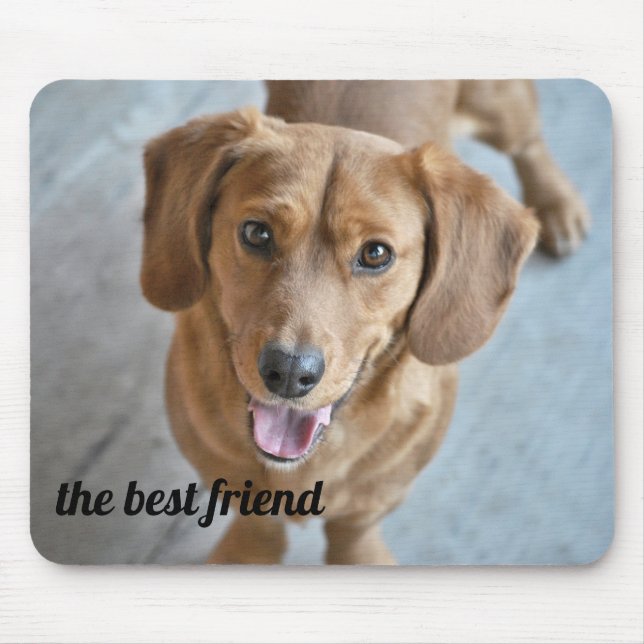 Cute Hund Musmatta (Framsidan)